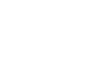 EFO Paardenverzekering